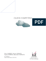 Ptasrall2011 Cloud Rapport