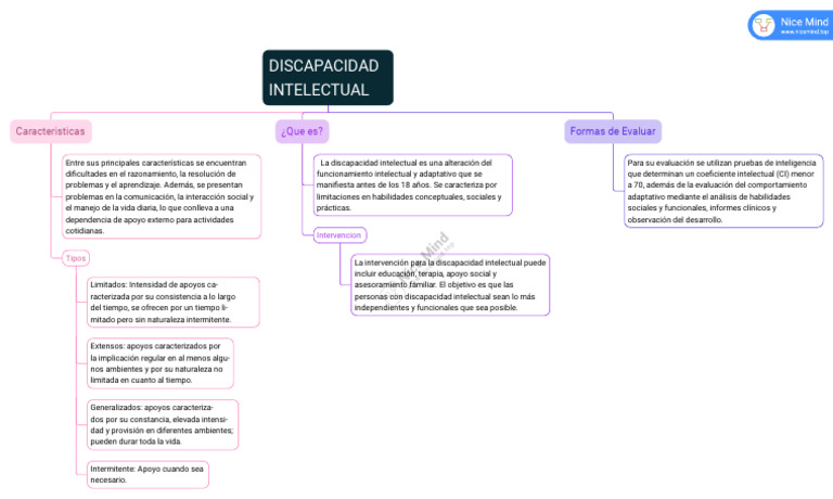 Discapacidad Intelectual y Apoyos Necesarios | PDF | Discapacidad ...