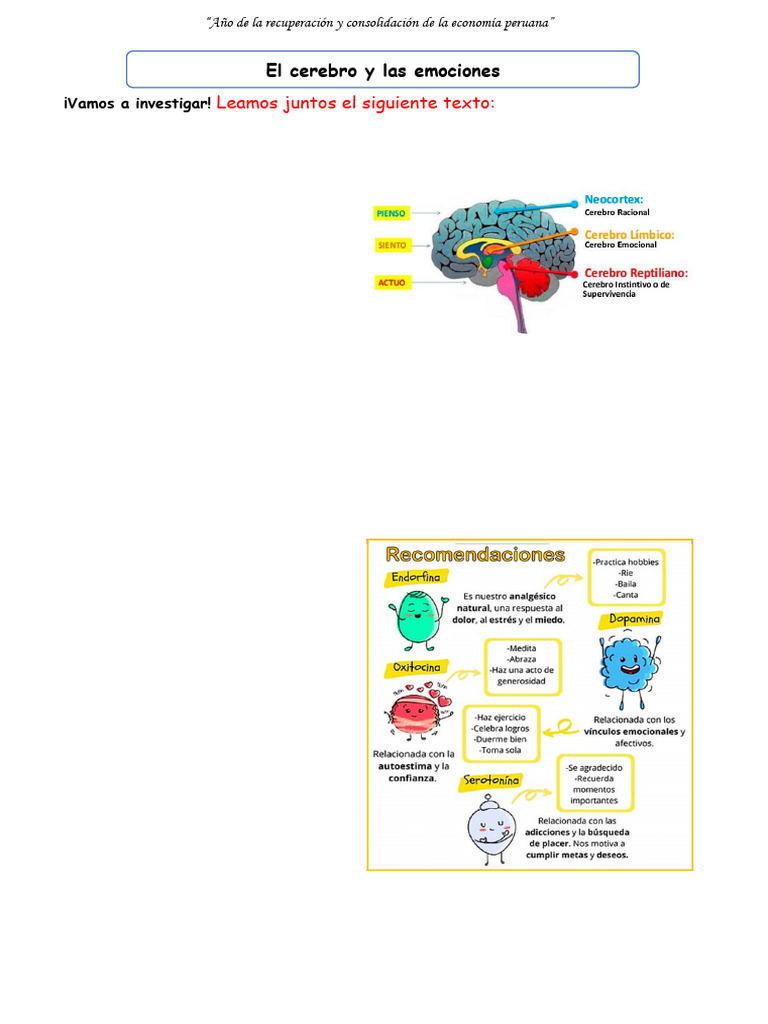 Emociones y su impacto en el cerebro | PDF | Las emociones | Cerebro