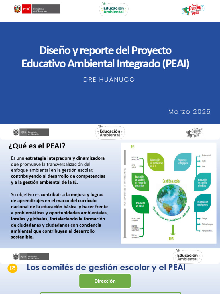 Diseño del PEAI 2025 en Educación Ambiental | PDF | Evaluación ...