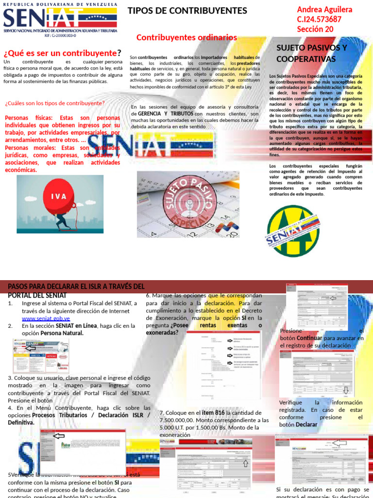 Tipos de Contribuyentes y Clasificación | PDF | Contribuyente | Business