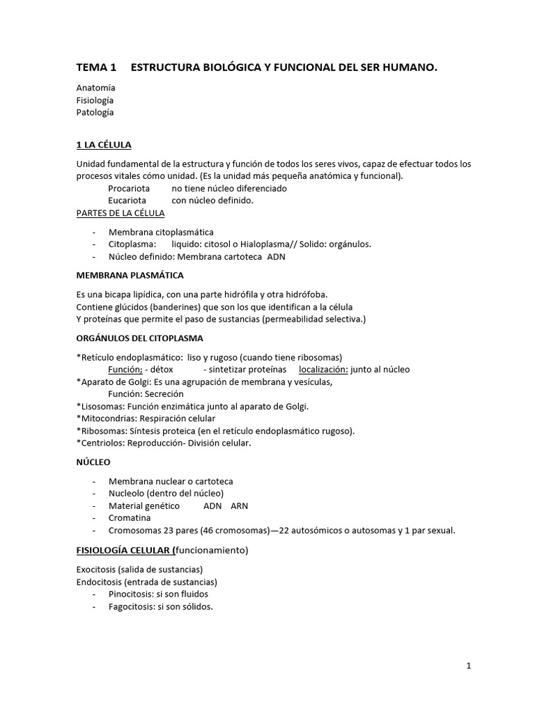 Estructura y Función del Cuerpo Humano | PDF | Citoplasma | Hueso