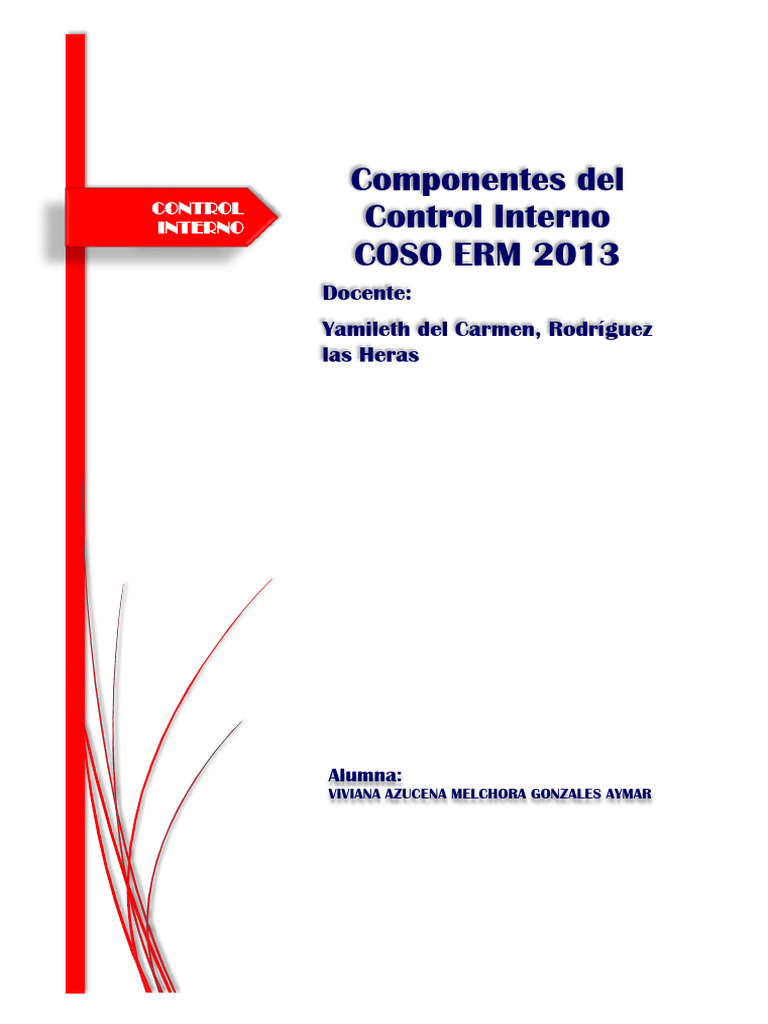 Componentes del Control Interno COSO ERM | PDF | Business | Información