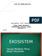 Eko Sistem