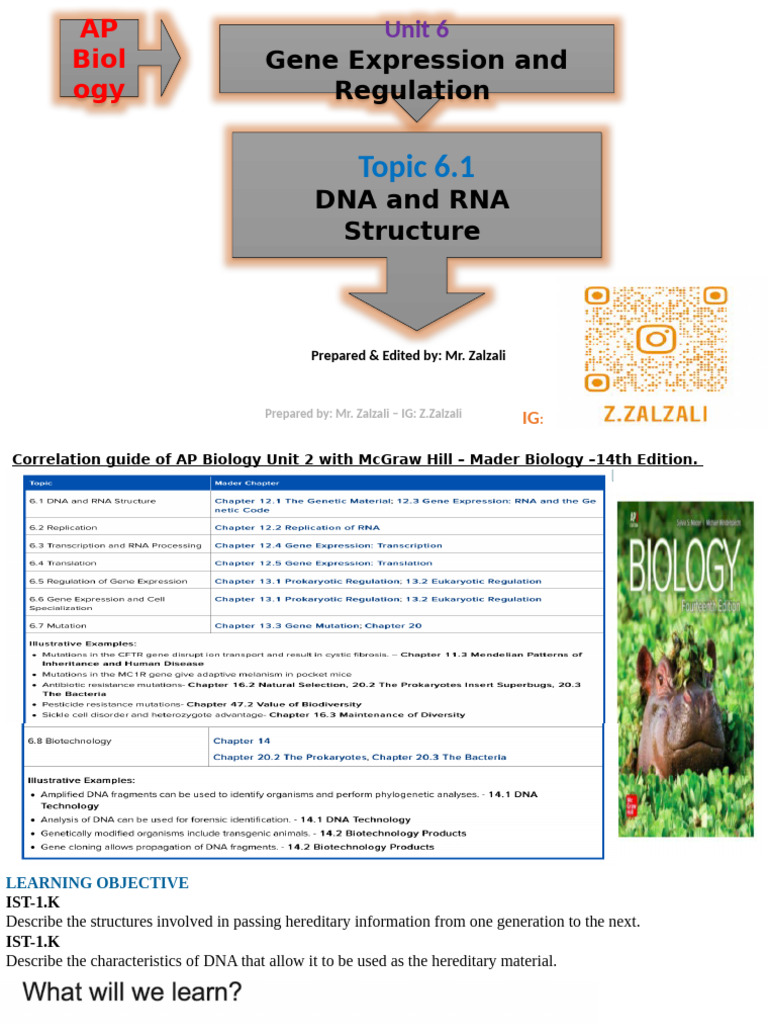 DNA and RNA Structure Overview | PDF | Dna Replication | Messenger Rna