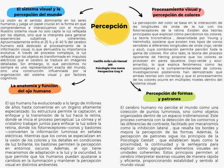 7 Percepción | PDF | Percepción visual | Percepción
