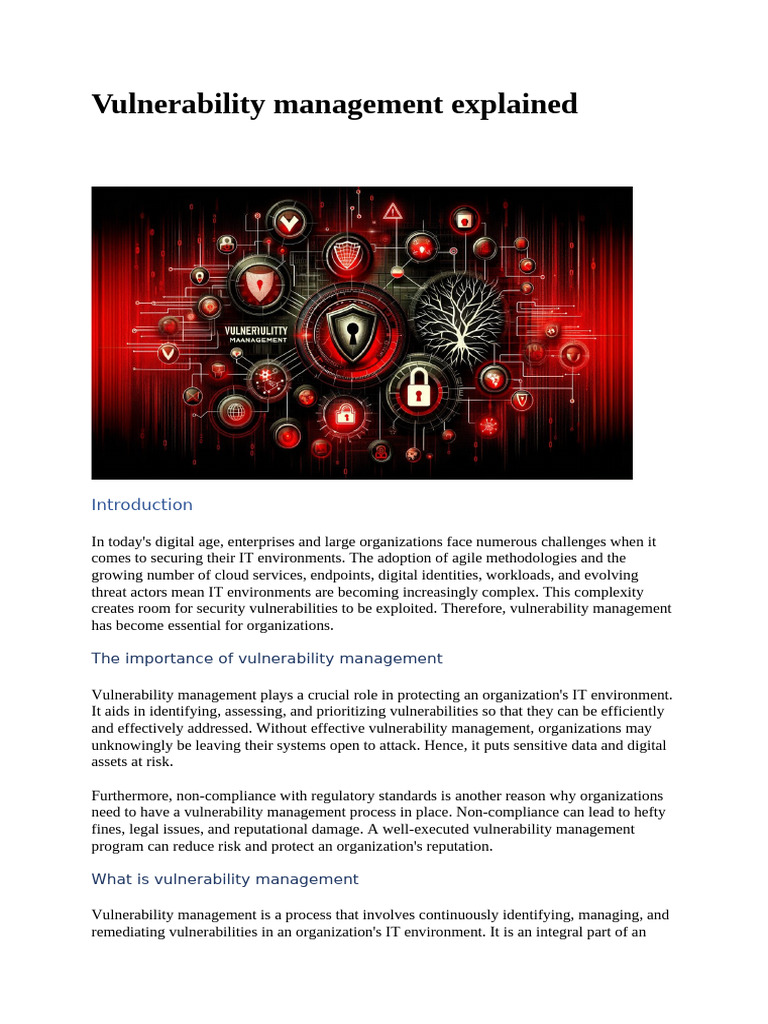 Vulnerability Management Explained | PDF | Computer Security | Security