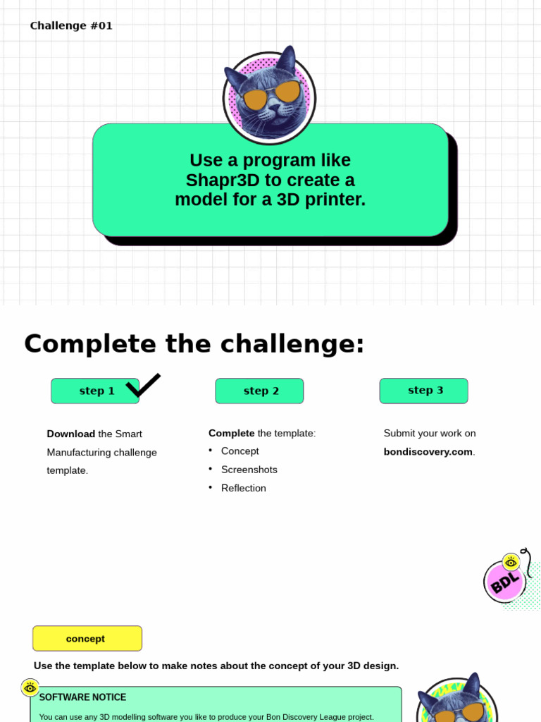 3D Modeling Challenge for BDL | PDF