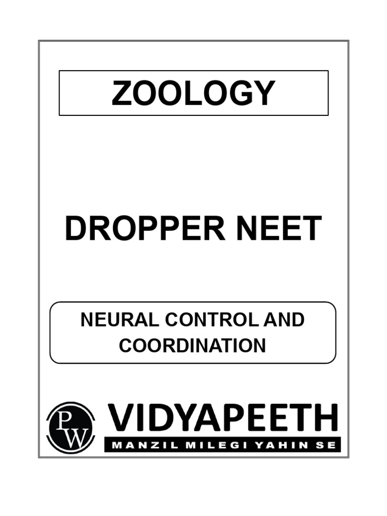 Neural Control and Synapse Overview | PDF | Chemical Synapse | Synapse