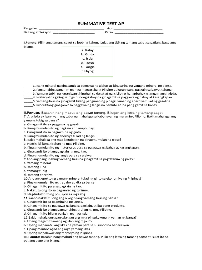 Summative Test Ap | PDF