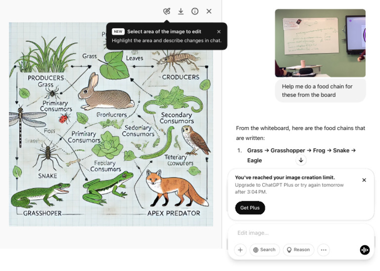 Food Chain Examples | PDF | Zoology