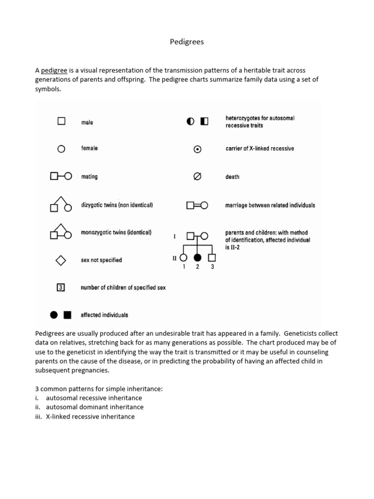 Understanding Pedigree Analysis | PDF