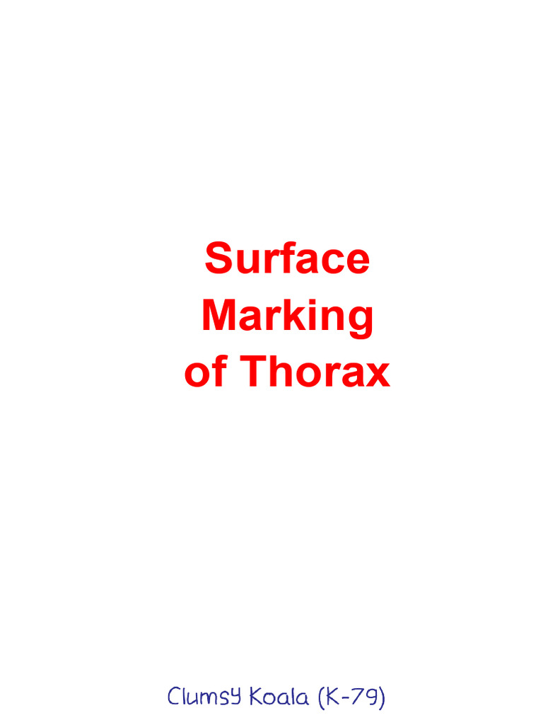 Surface Anatomy of the Thorax | PDF | Thorax | Thorax (Human Anatomy)