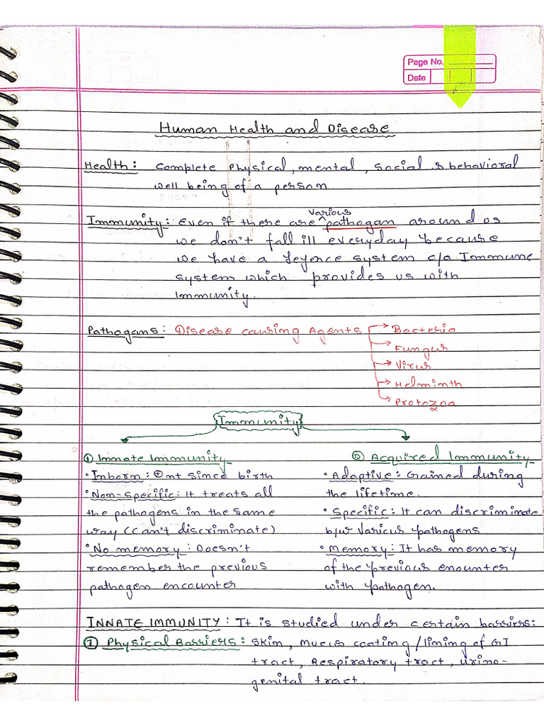 HH&D Notes | PDF