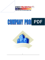 1 Company Profile
