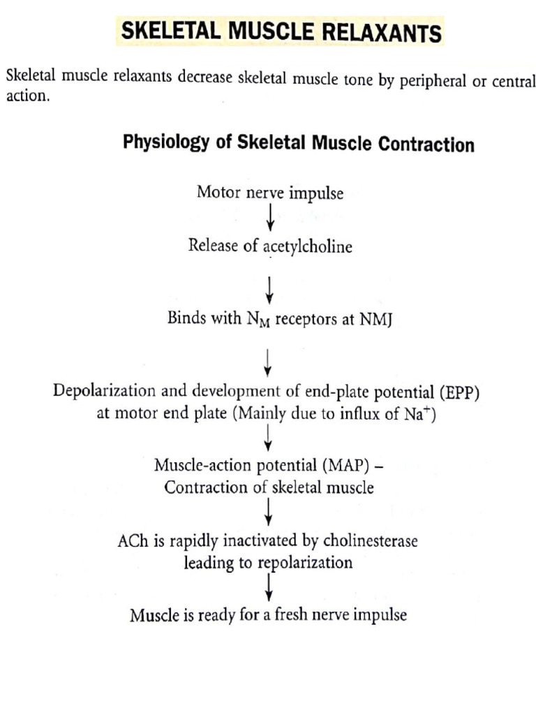 Skeletal Muscle Relaxants Overview | PDF | Pharmacology | Drugs Acting ...