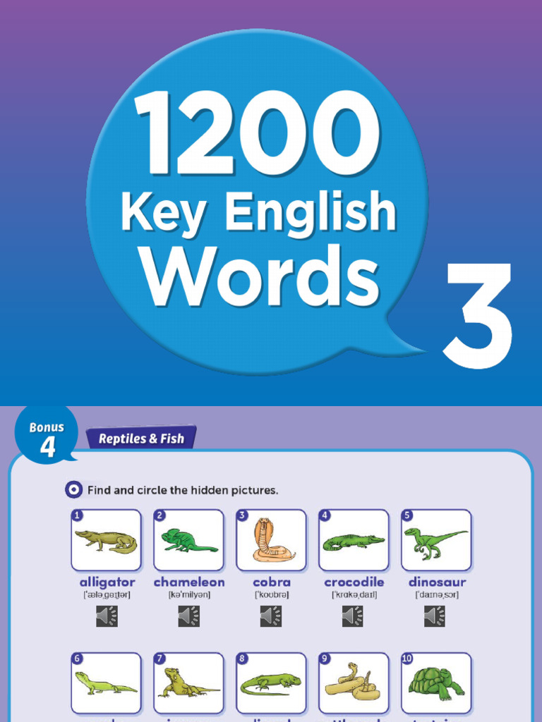 1200KEW 3 (Teacher's Slides) - Bonus 4 | PDF