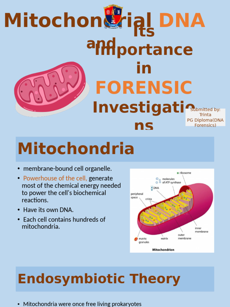 Mitochondrial DNA in Forensic Science | PDF | Mitochondrial Dna ...