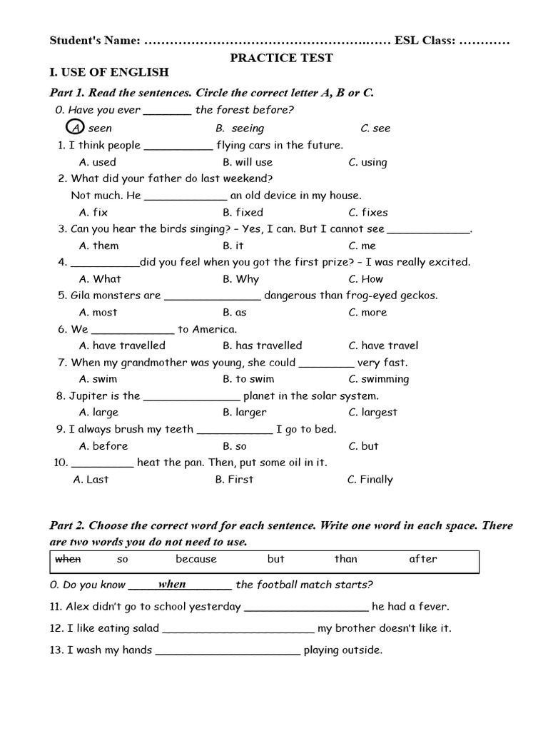 ESL Practice Test for Students | PDF