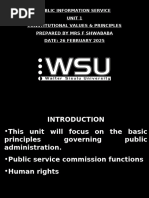 UN Values and Behaviours Framework | PDF
