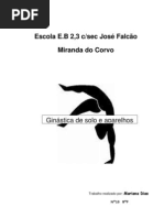 Trabalho Final de Ginastica
