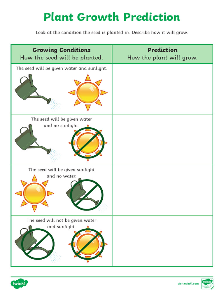 t2 s 158 Plant Growth Prediction Worksheet Ver 1 | PDF