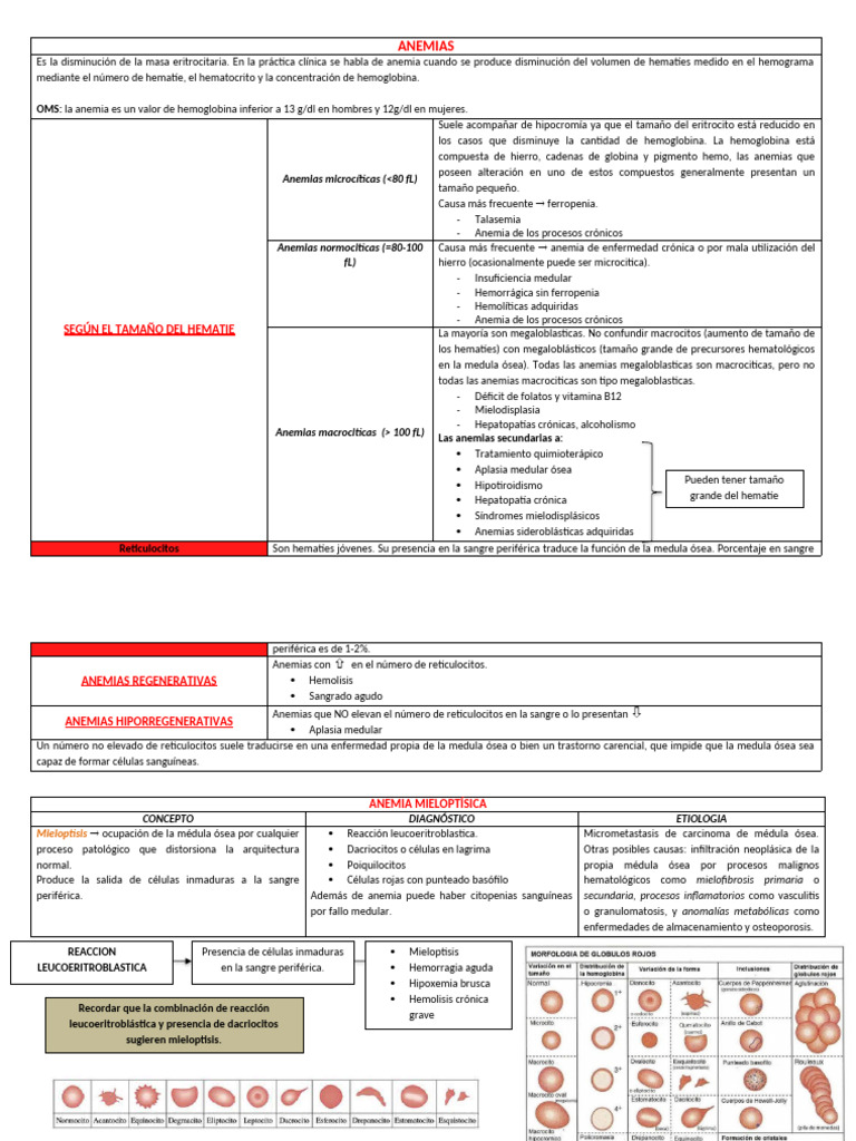 Tipos y causas de anemias clínicas | PDF | Anemia | Sangre