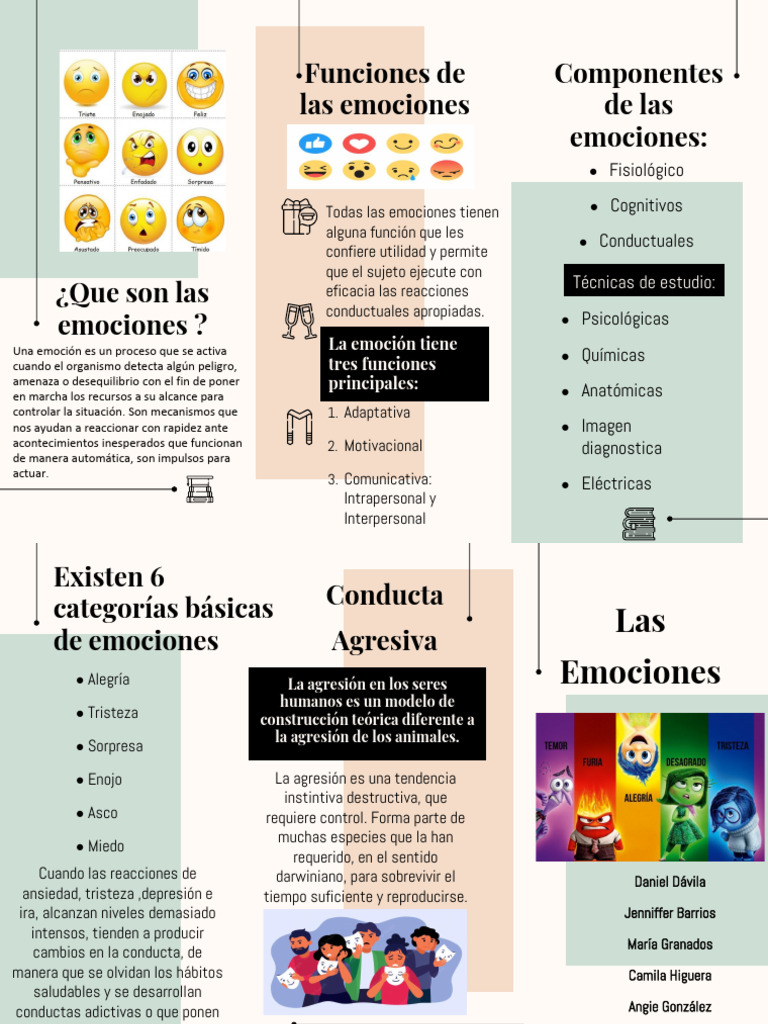 Funciones y componentes de las emociones | PDF | Las emociones | Ira