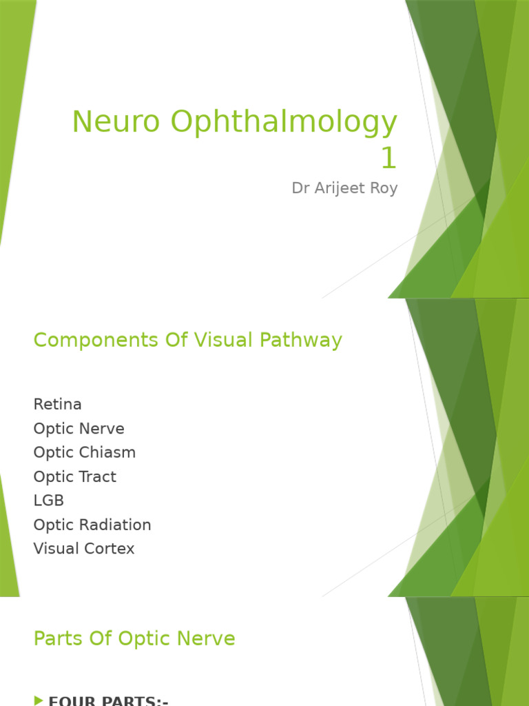 Understanding the Visual Pathway Components | PDF | Visual System | Senses