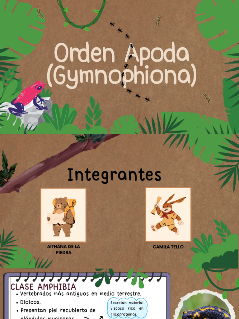 Características del Orden Apoda | PDF