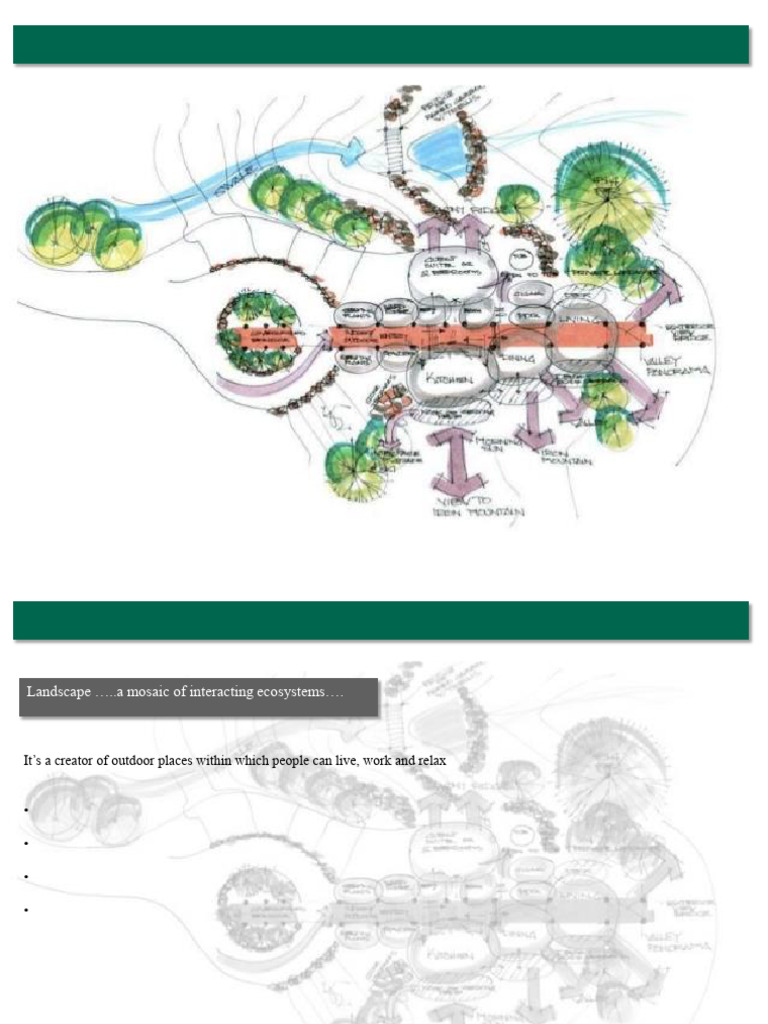 Lec 2 - Landscape Design Principles - ١١٤٧٠٧ | PDF | Color | Landscape