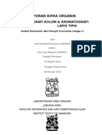 Download Laporan Kimor Isolasi Kurkumin Dari Kunyit by Dias Mandala SN84952243 doc pdf