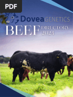 Top 100 TPI International Bulls | PDF