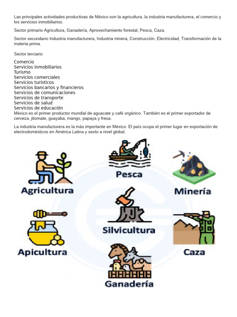 Actividades productivas en México | PDF