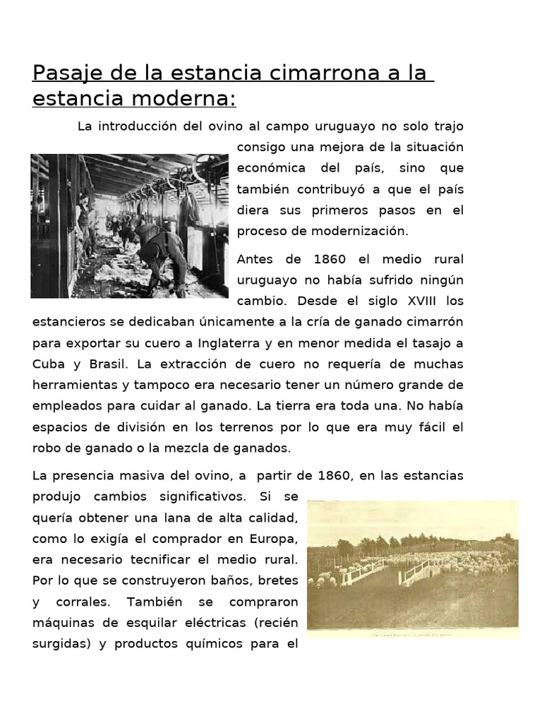 De estancia cimarrona a moderna | PDF | Oveja | Vacas