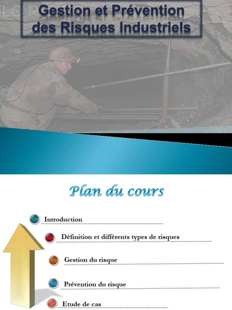 Gestion des Risques Industriels | PDF | Gestion des risques | Risque