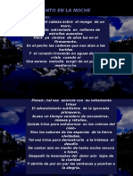 Un Pájaro Cantó en La Noche