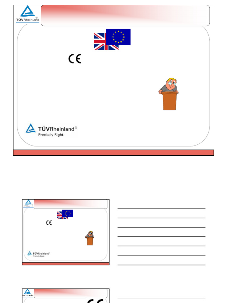 C&G Training 2012 - 2 - MD & CE Mark | PDF