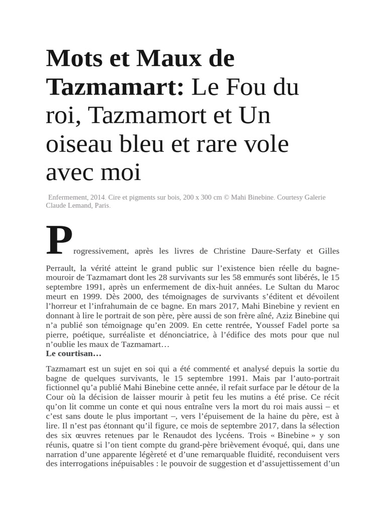 Tazmamart : Récit de vie d'Aziz Binebine | PDF | Romans