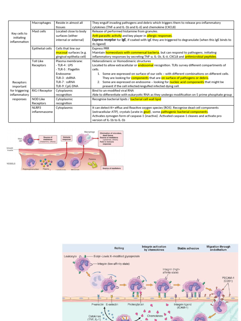 Notes For Acute Inflammation 1 | PDF | Inflammation | Toll Like Receptor