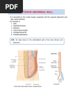 6 - Pelvic Rocking Exercises | PDF | Pelvis | Abdomen