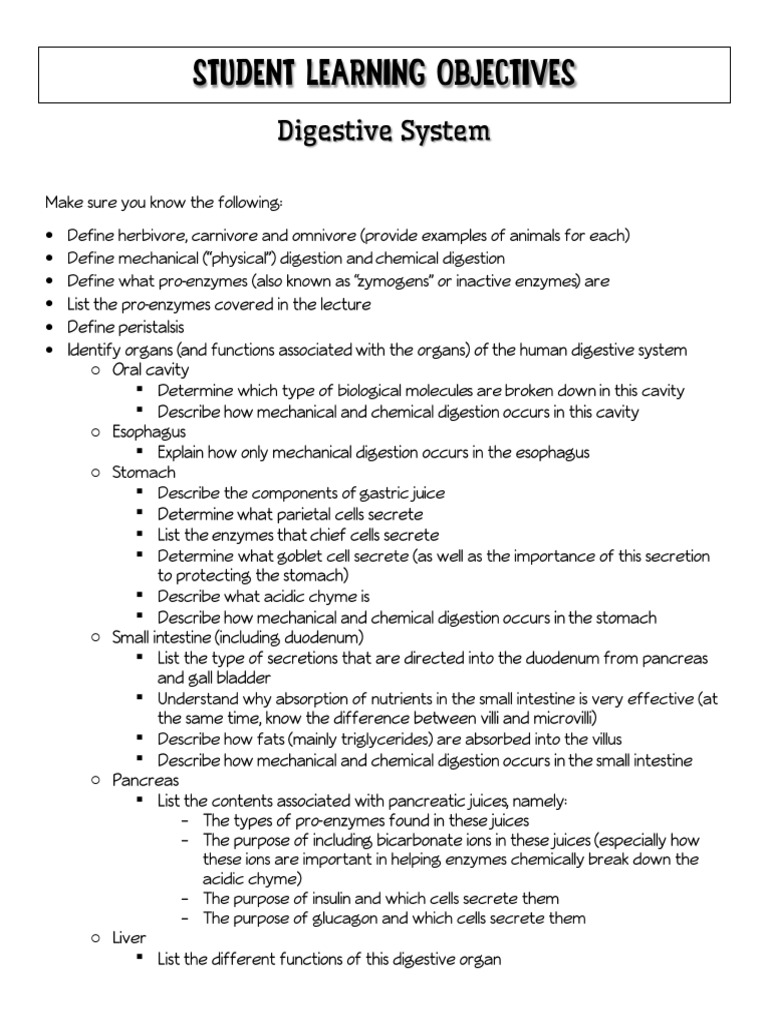 2.2 Digestive System SLO | PDF