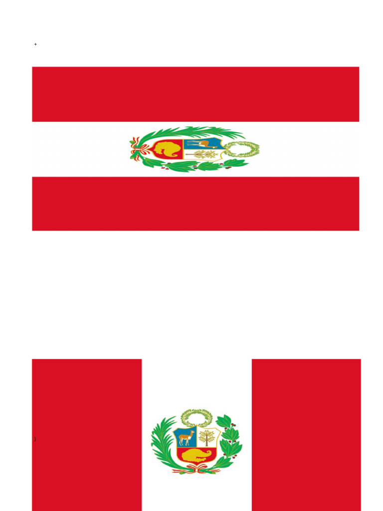 Bandera Gaaa | PDF
