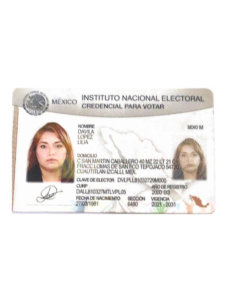 Instituto Nacional Electoral | PDF