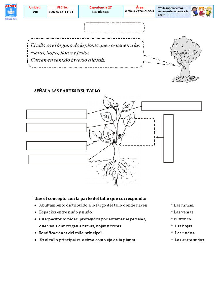 Ciencia 27 | PDF | Tallo de la planta | Plantas