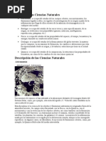 División de las Ciencias Naturales