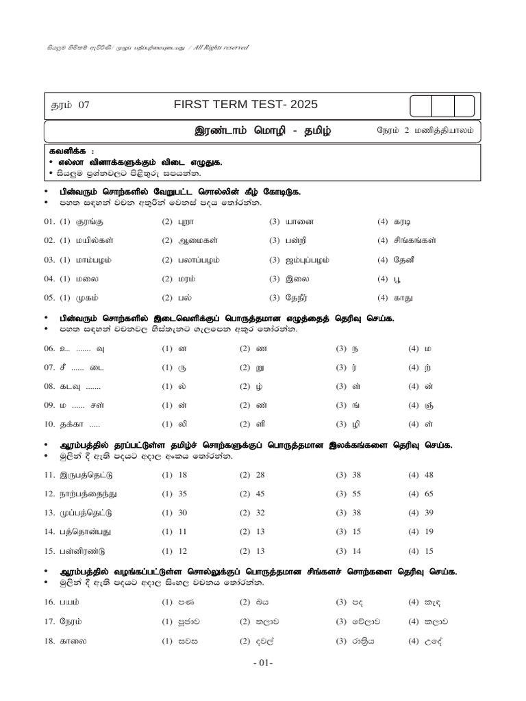 First Term Test 2025 - Exam Questions | PDF