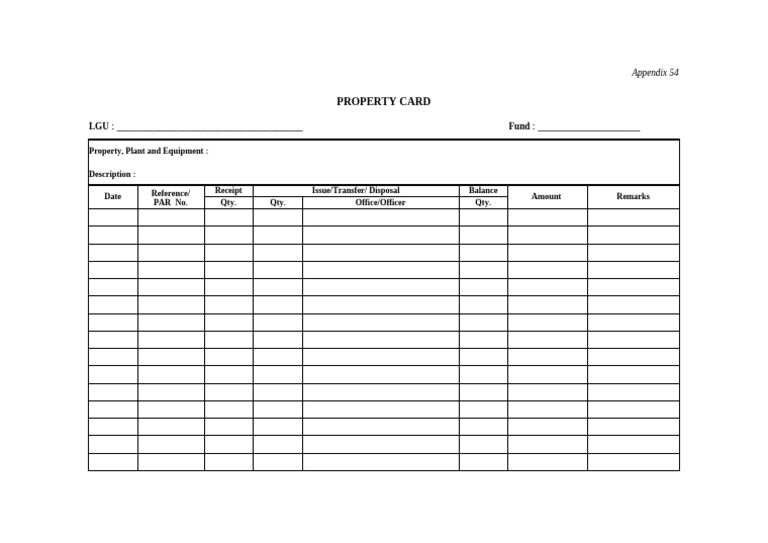 Property Card Template for LGUs | PDF