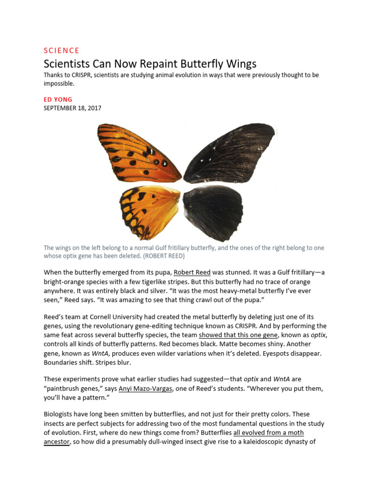 CRISPR Transforms Butterfly Wing Colors | PDF | Butterfly | Biology