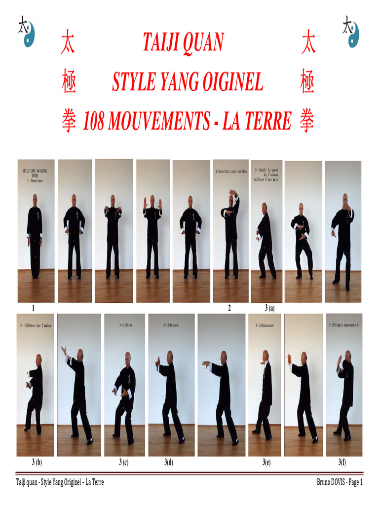 Taiji Quan : 108 Mouvements Yang | PDF
